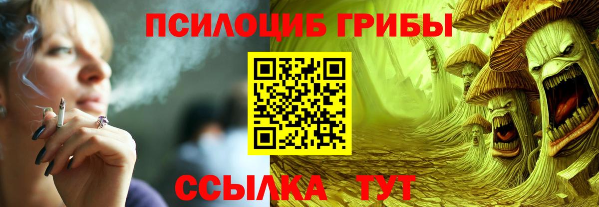 Новоалександровск  Галлюциногенные грибы Psilocybe  Галлюциногенные грибы Psilocybe  Вход с VPN 