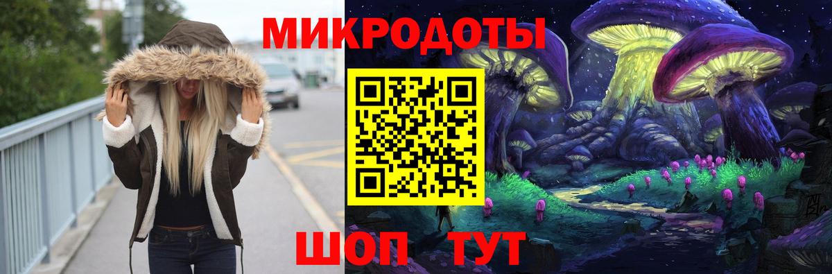 Псилоцибиновые грибы Psilocybine cubensis Новоалександровск