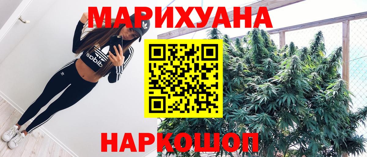 Новоалександровск  Конопля ГИДРОПОН  Марихуана VHQ  Вход с VPN  Каннабис индика 